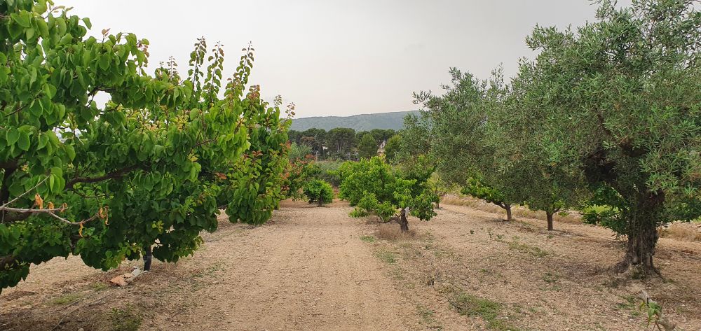 Villa till salu i Aielo de Malferit