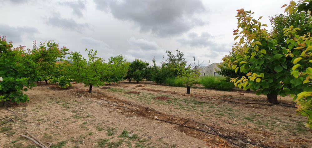 Villa till salu i Aielo de Malferit
