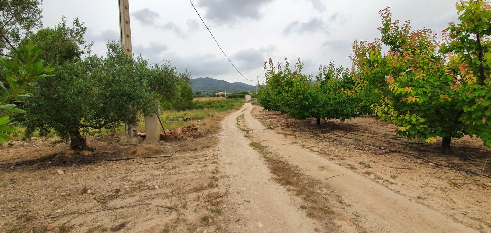 Villa en vente à Aielo de Malferit