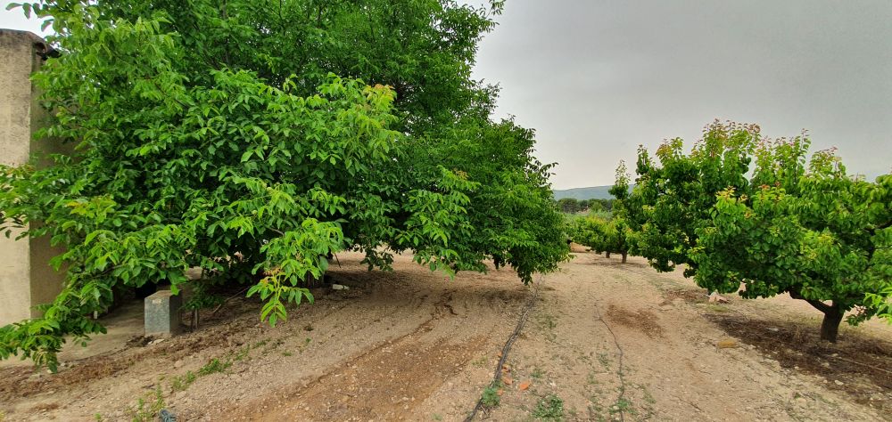 Villa till salu i Aielo de Malferit