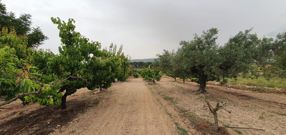 Villa till salu i Aielo de Malferit