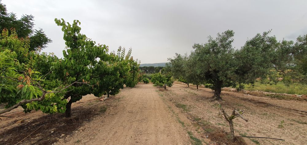 فيلا للبيع في Aielo de Malferit