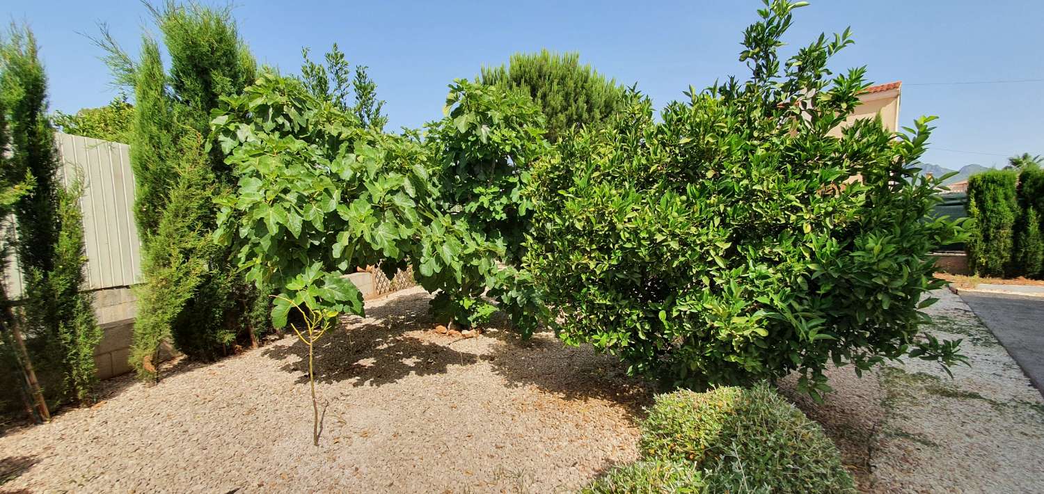 Villa in vendita a Palma de Gandía