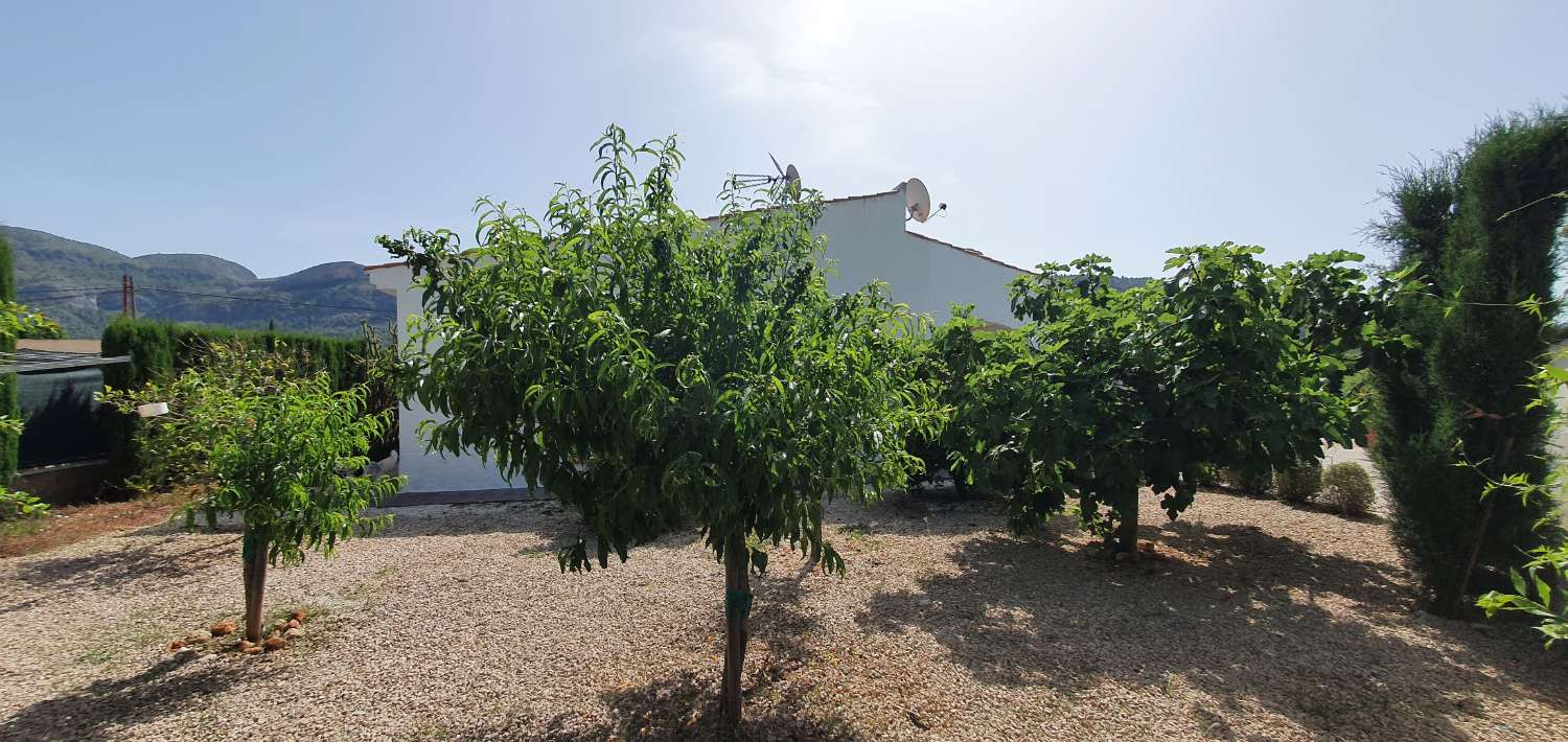 Villa en venta en Palma de Gandía