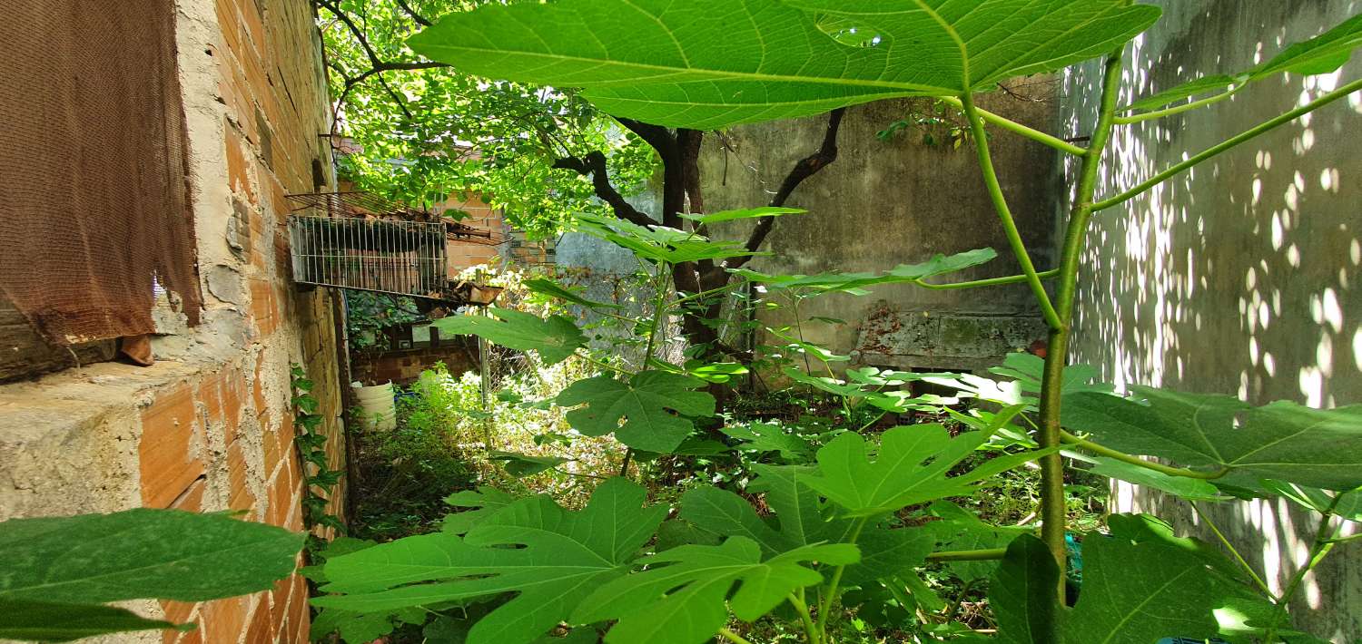 Maison en vente à Villalonga