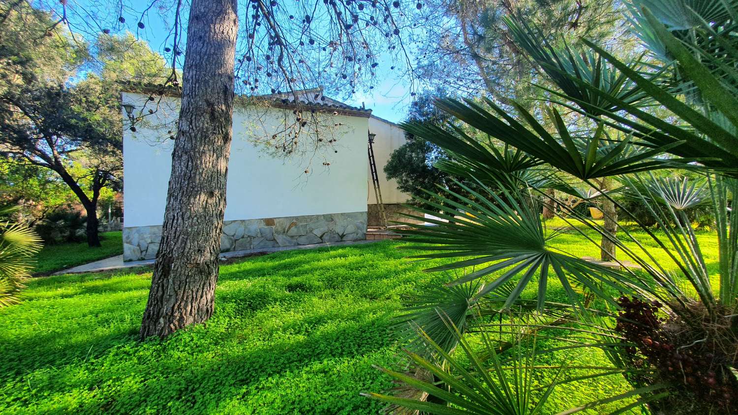 Villa en venta en Villalonga