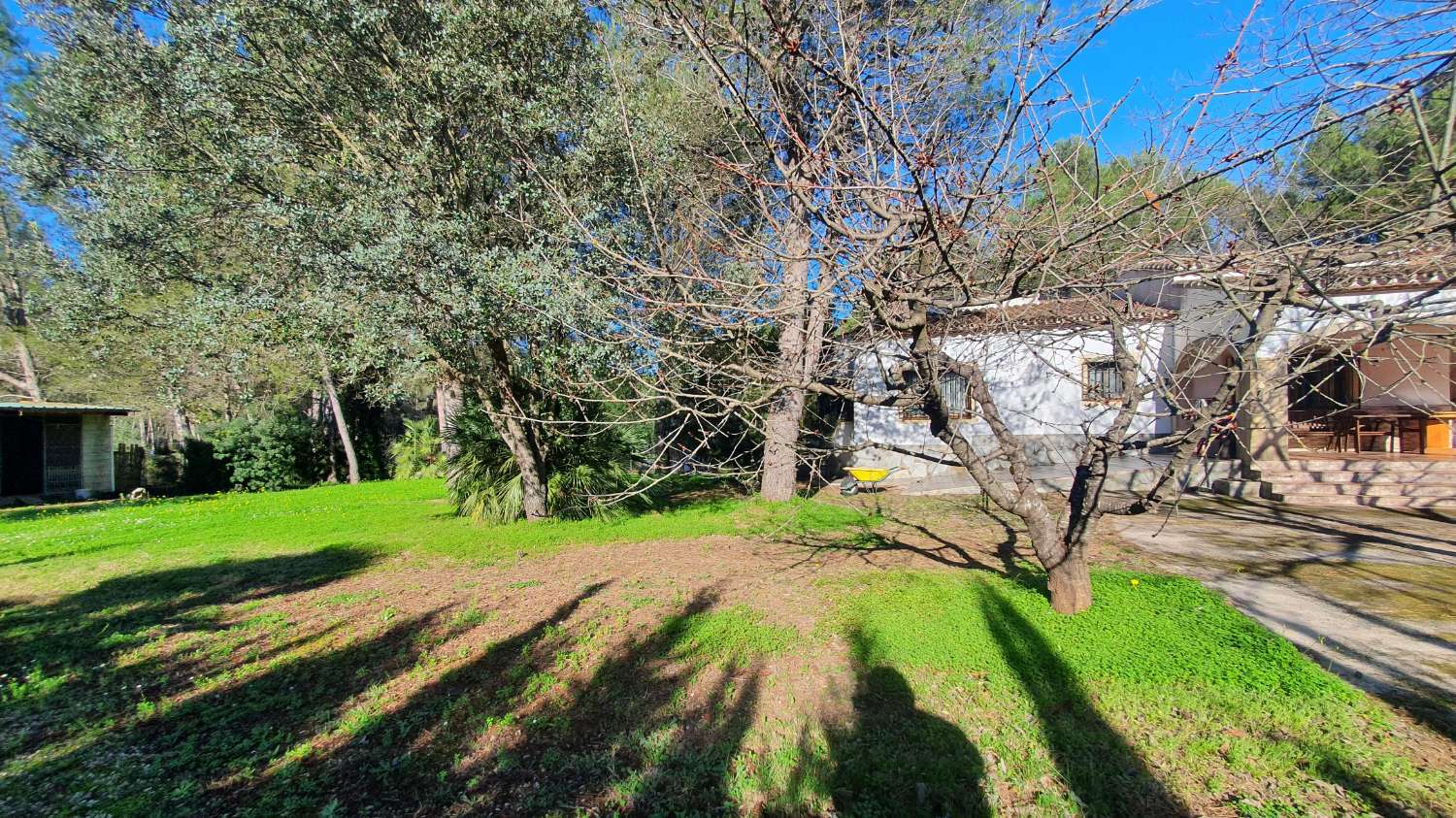 Villa en vente à Villalonga