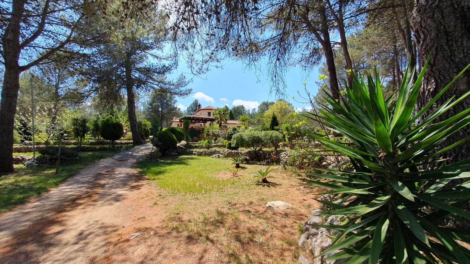 Villa en venta en Villalonga