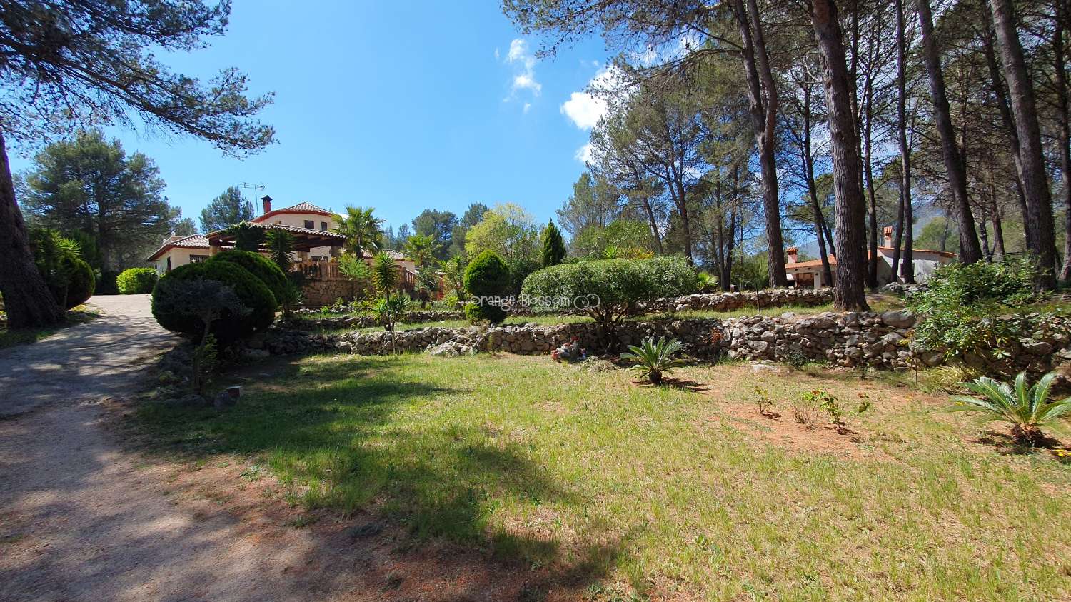 Villa en vente à Villalonga