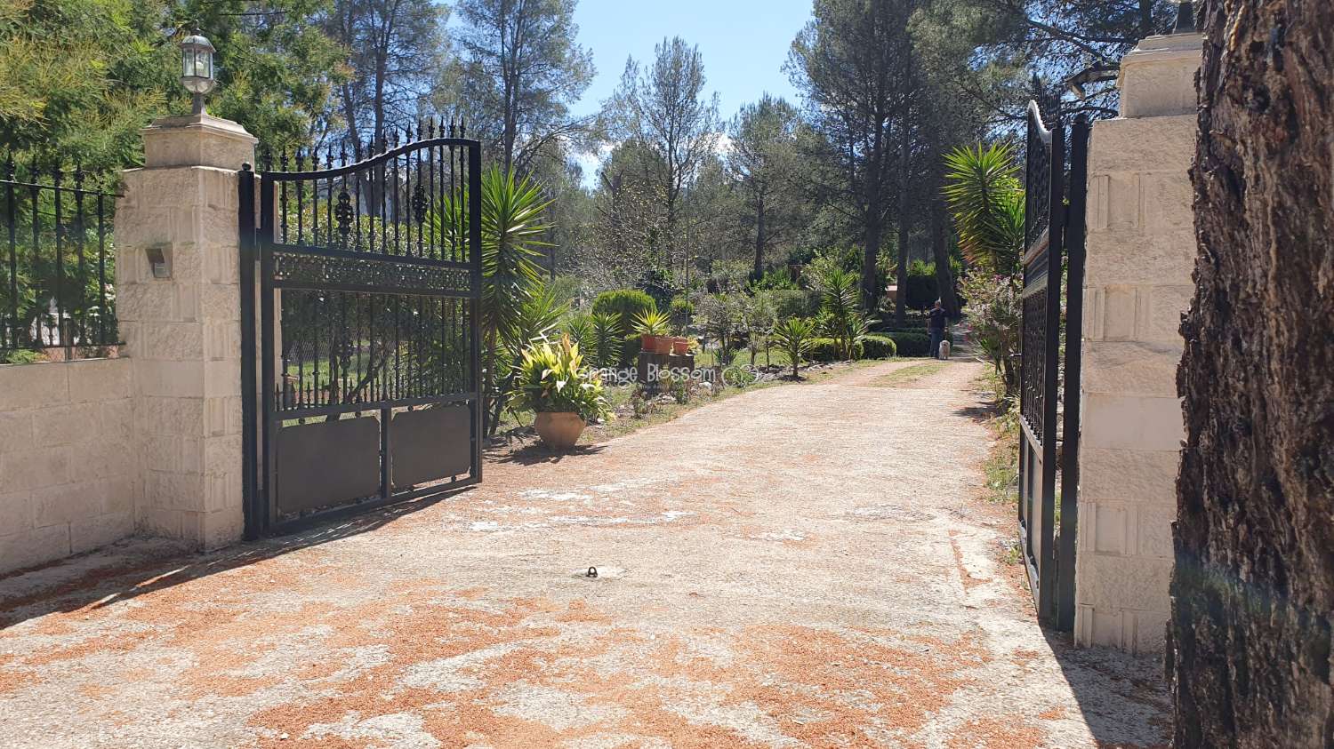 Villa en venta en Villalonga