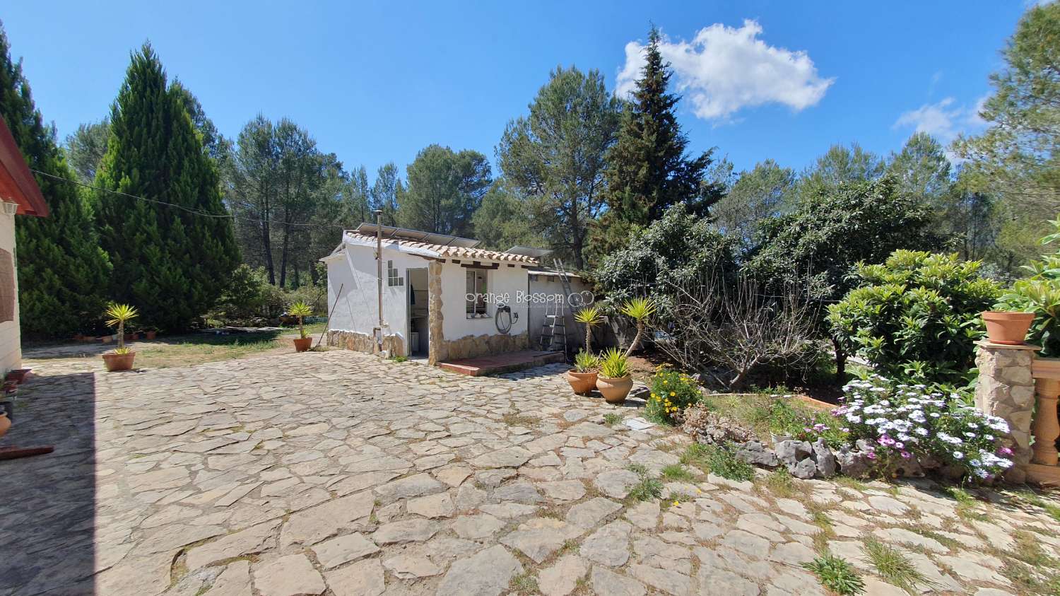 Villa en venta en Villalonga