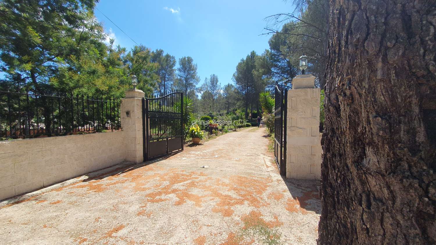 Villa en venta en Villalonga