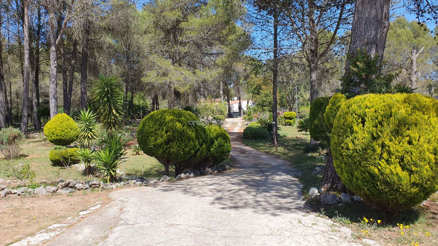 Villa en vente à Villalonga