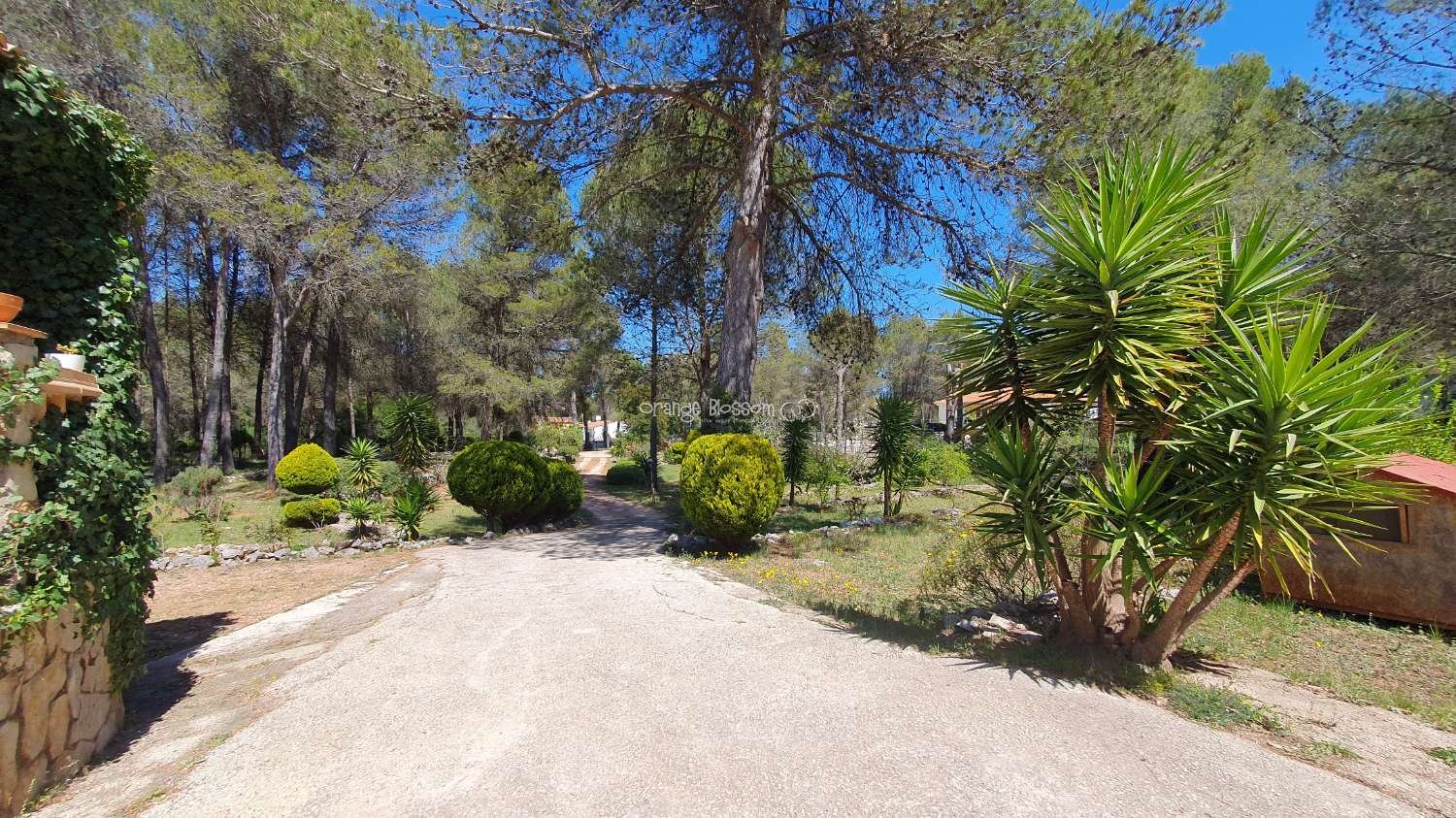 Villa en venta en Villalonga