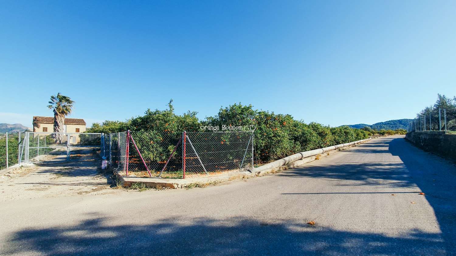 Orange Groves pour toujours.