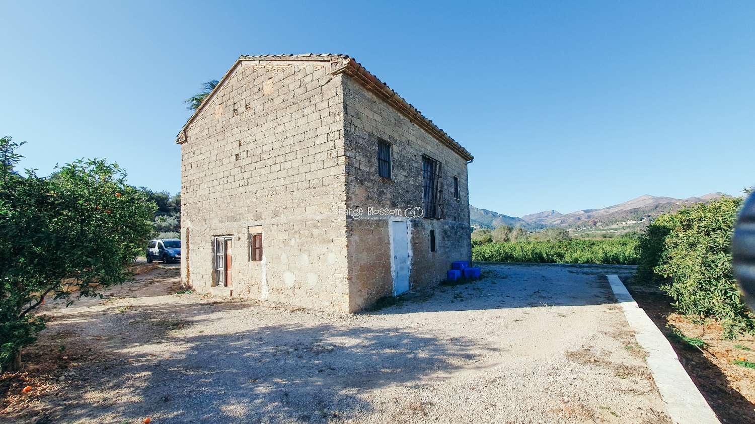 Orange Groves pour toujours.