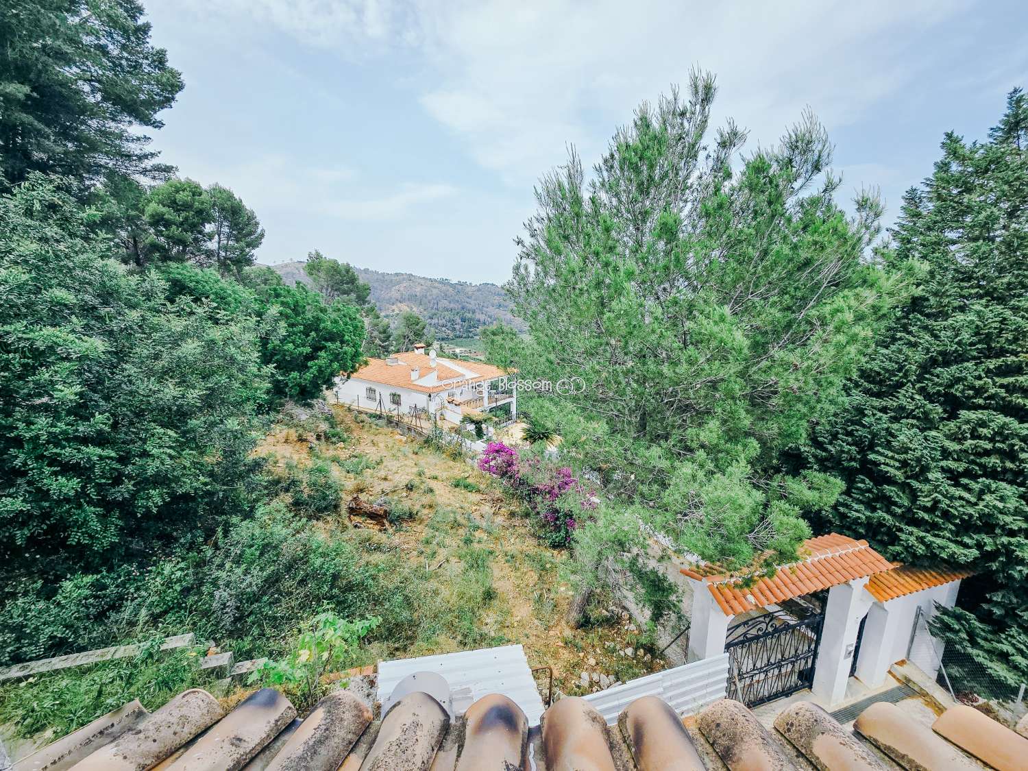 Vila en venda in Villalonga