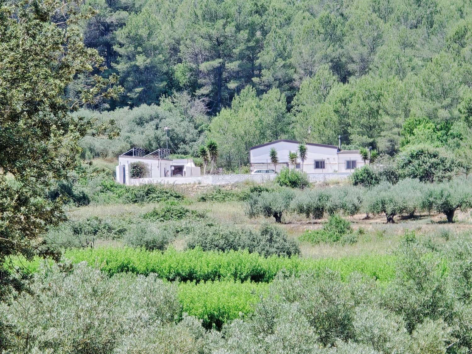 Vila en venda in Benigánim