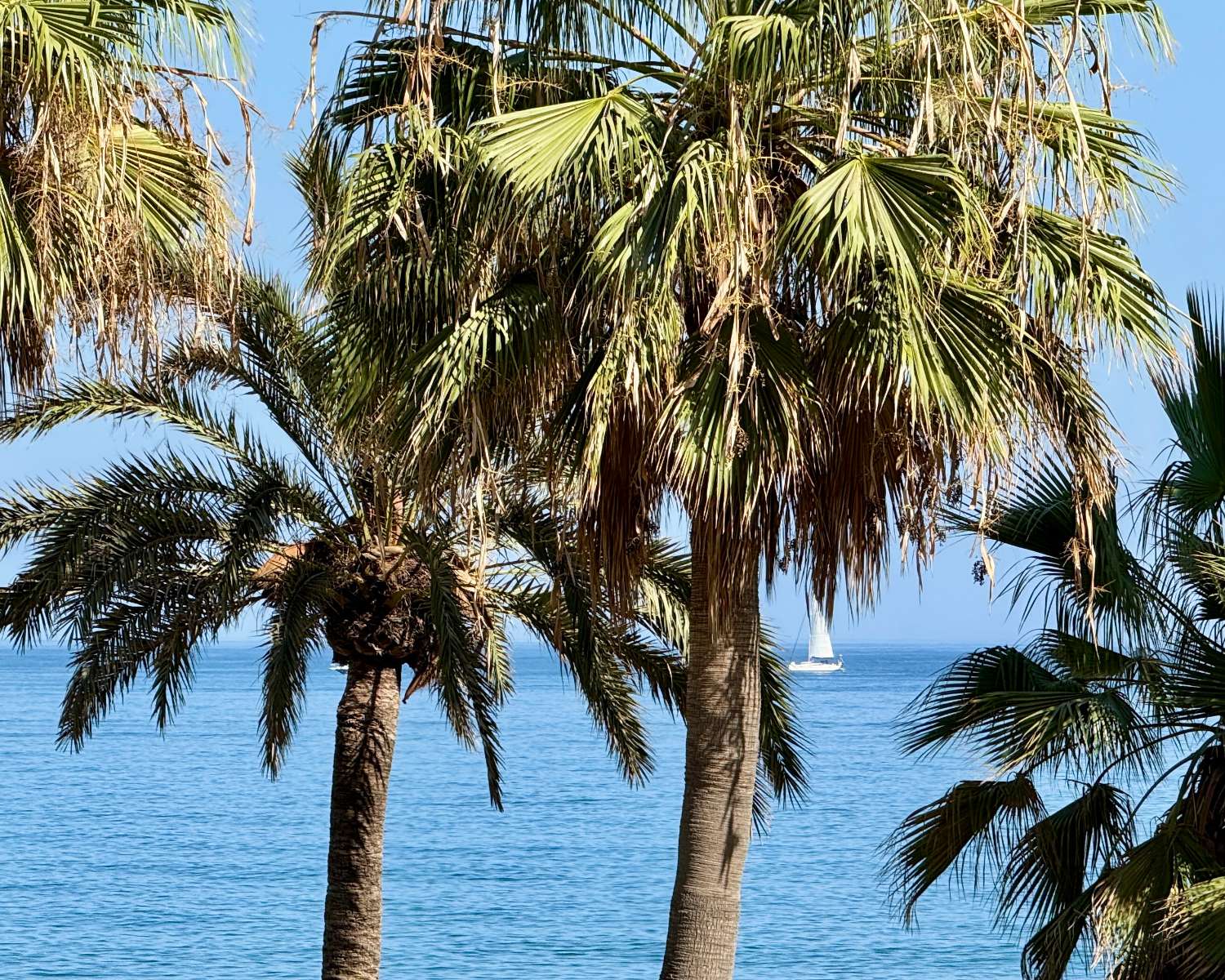 INCREDIBLE APARTMENT ON THE SEAFRONT ON THE PROMENADE OF FUENGIROLA