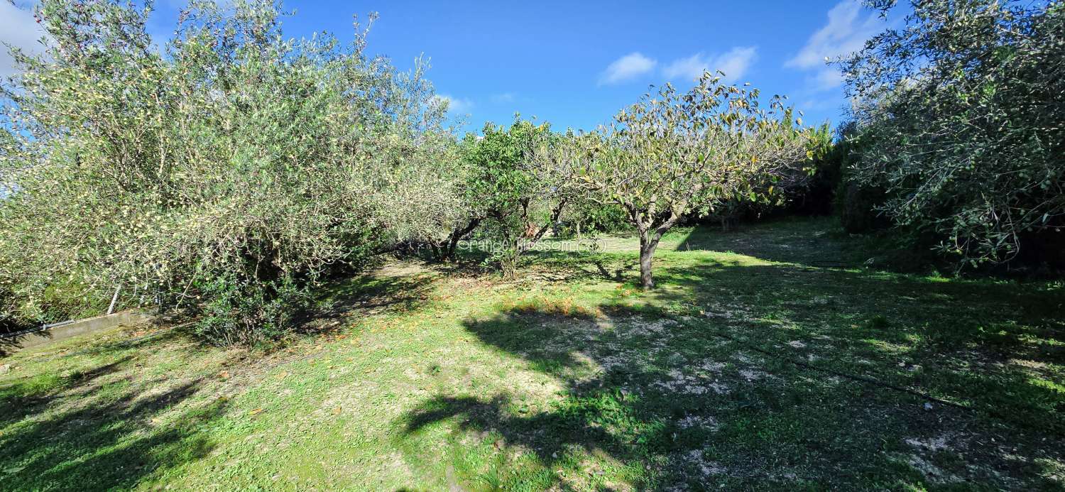 Villa in vendita a Benicolet