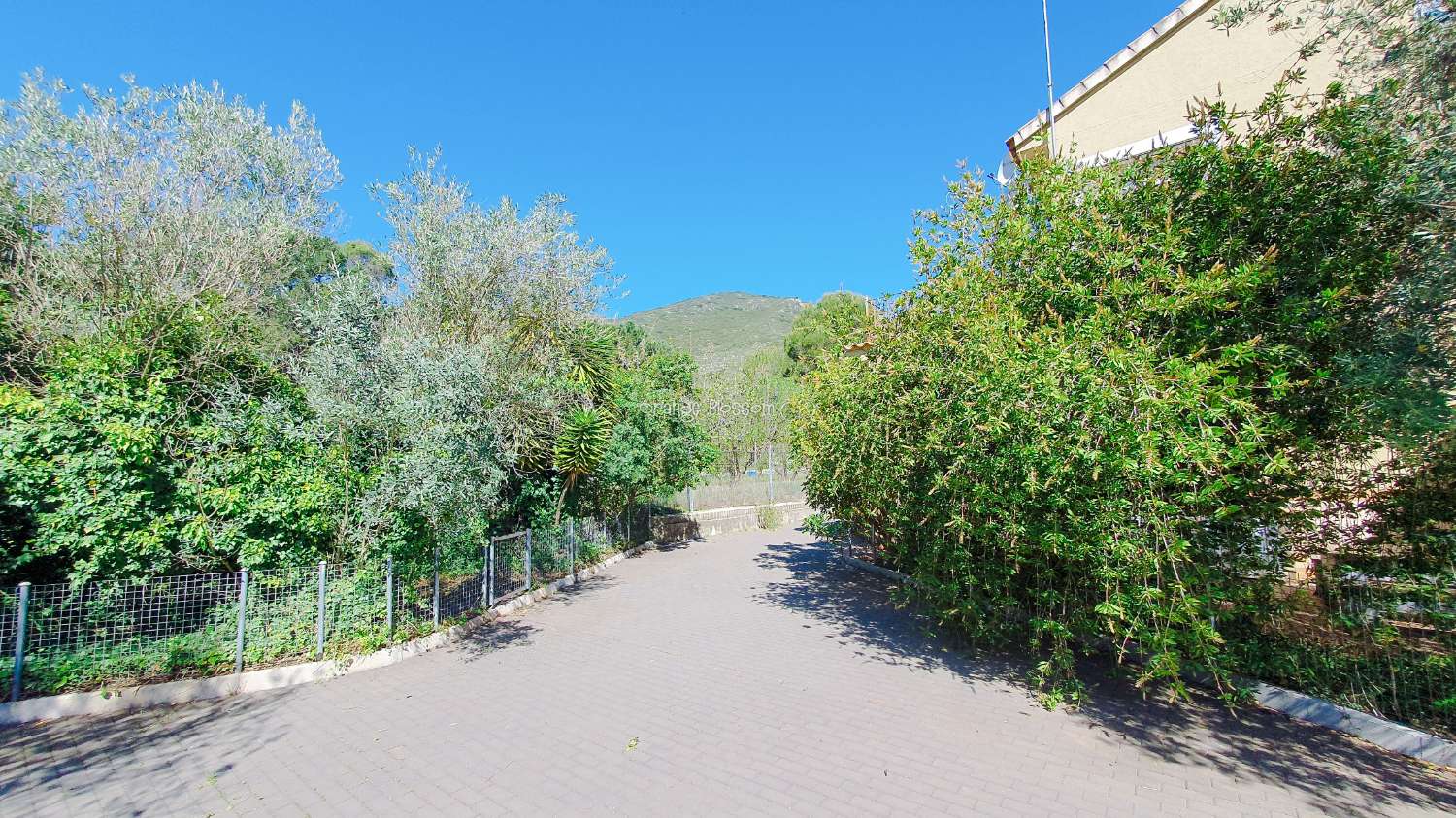 Ein wunderschön gebautes Haus in einer friedlichen ländlichen Umgebung.