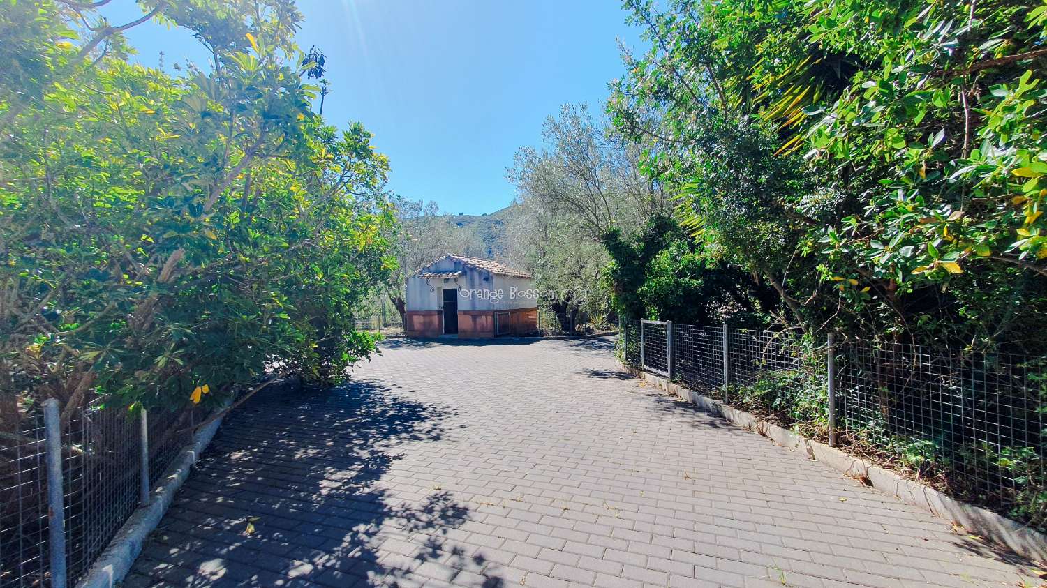 Ein wunderschön gebautes Haus in einer friedlichen ländlichen Umgebung.