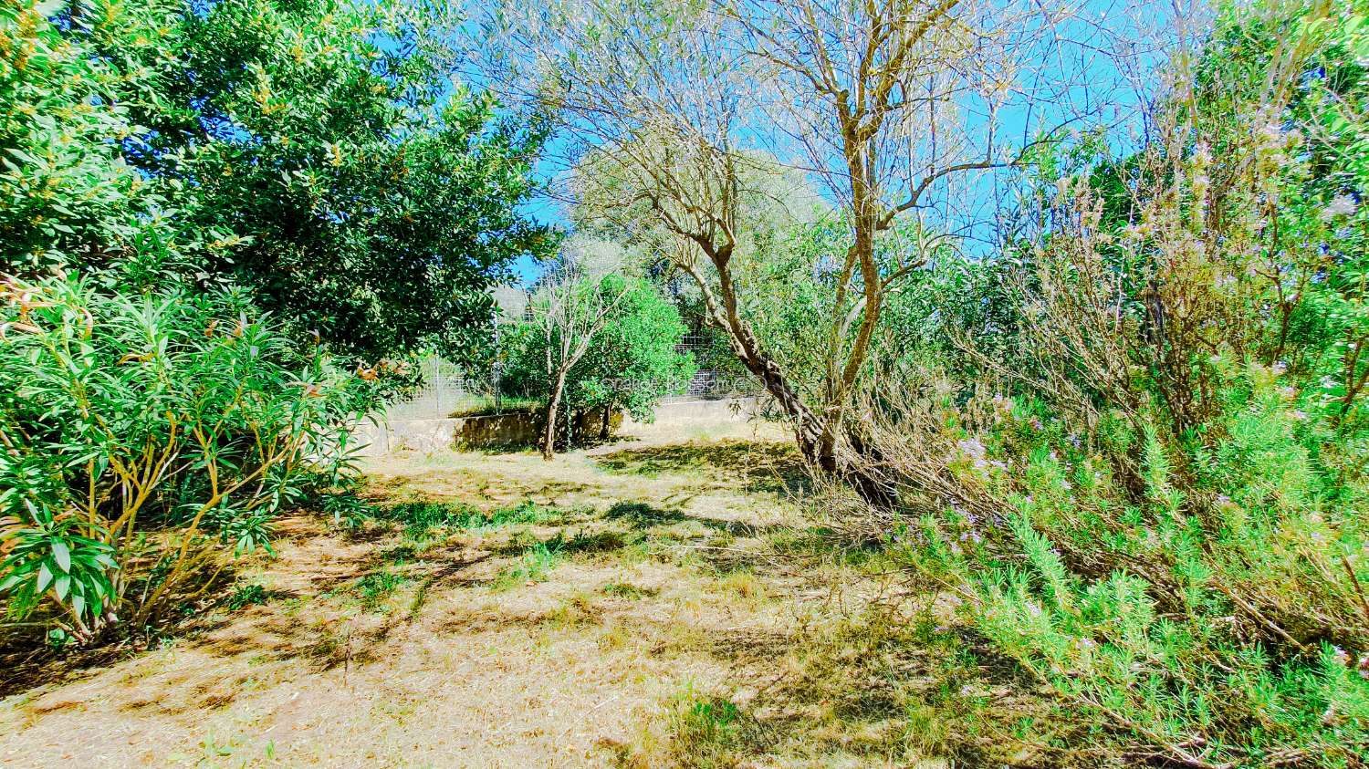 Ein wunderschön gebautes Haus in einer friedlichen ländlichen Umgebung.