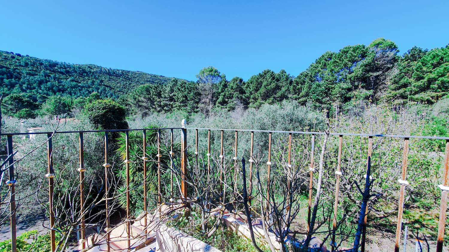 Ein wunderschön gebautes Haus in einer friedlichen ländlichen Umgebung.