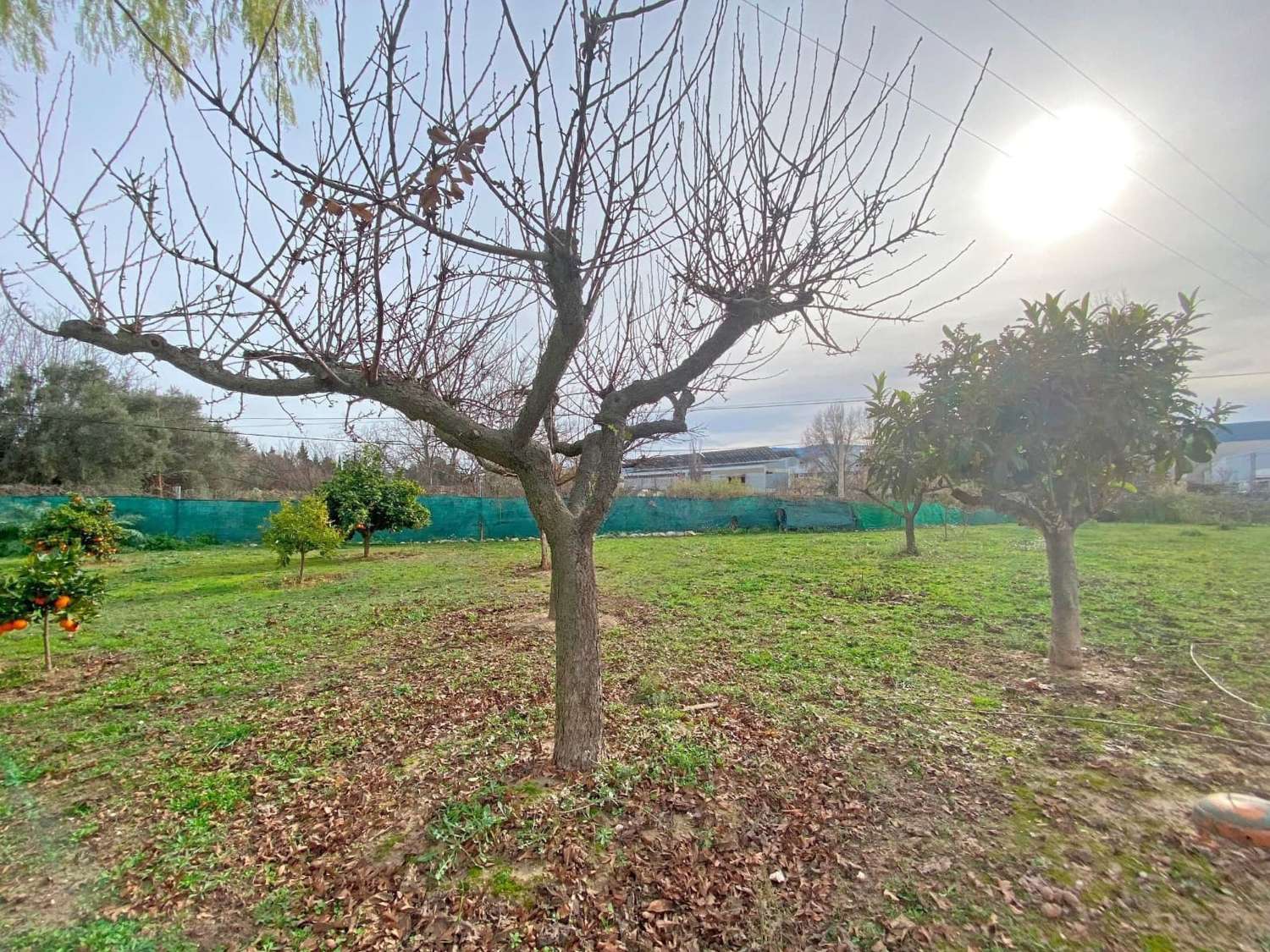 Maison individuelle à Ontinyent