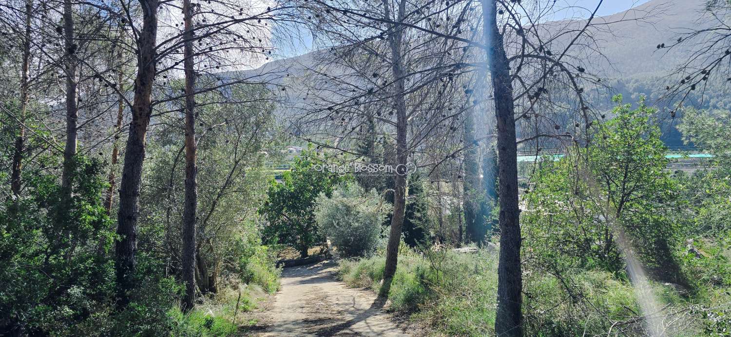 Peaceful Views  and tranquility with Total Convenience.