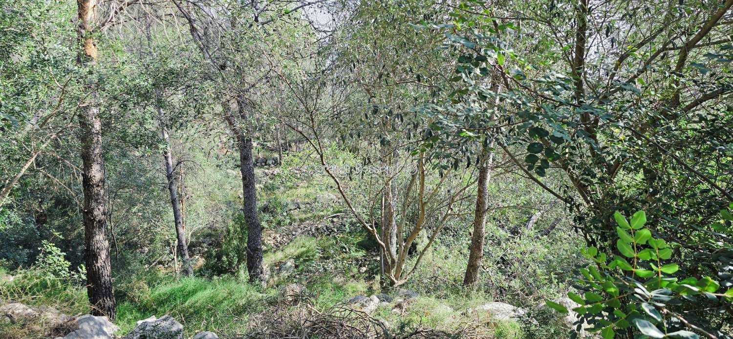 Peaceful Views  and tranquility with Total Convenience.