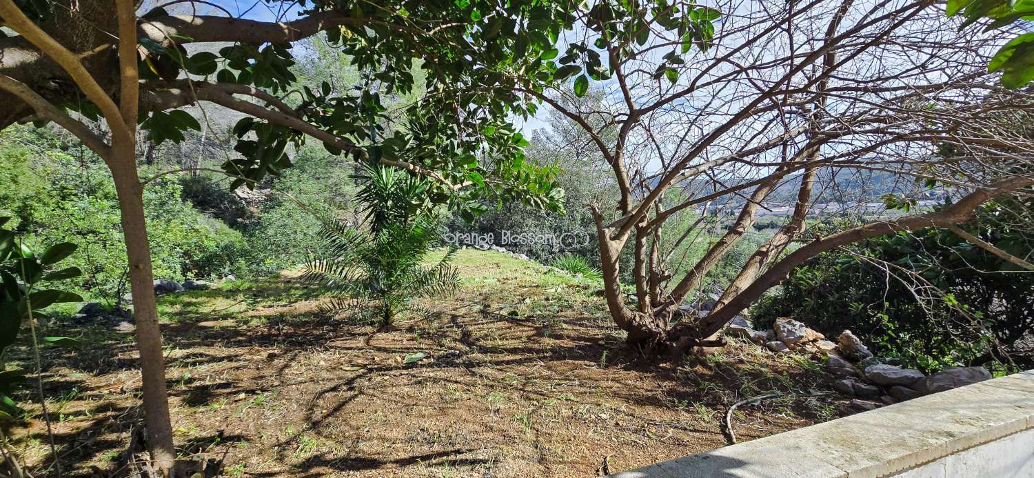 Peaceful Views  and tranquility with Total Convenience.