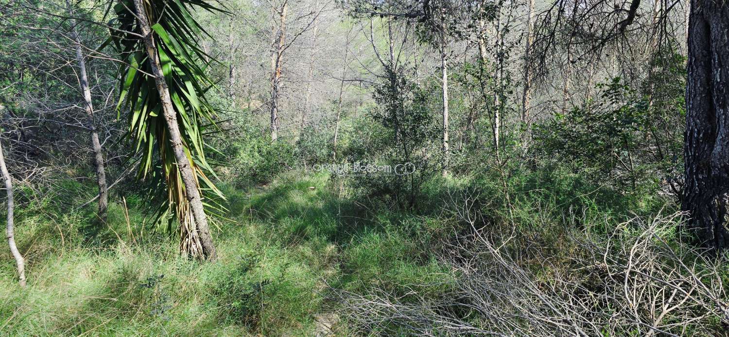 Peaceful Views  and tranquility with Total Convenience.