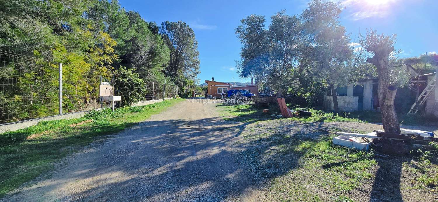 Here we are delighted to present a wonderful opportunity for those seeking space, privacy and the possibility of keeping horses.