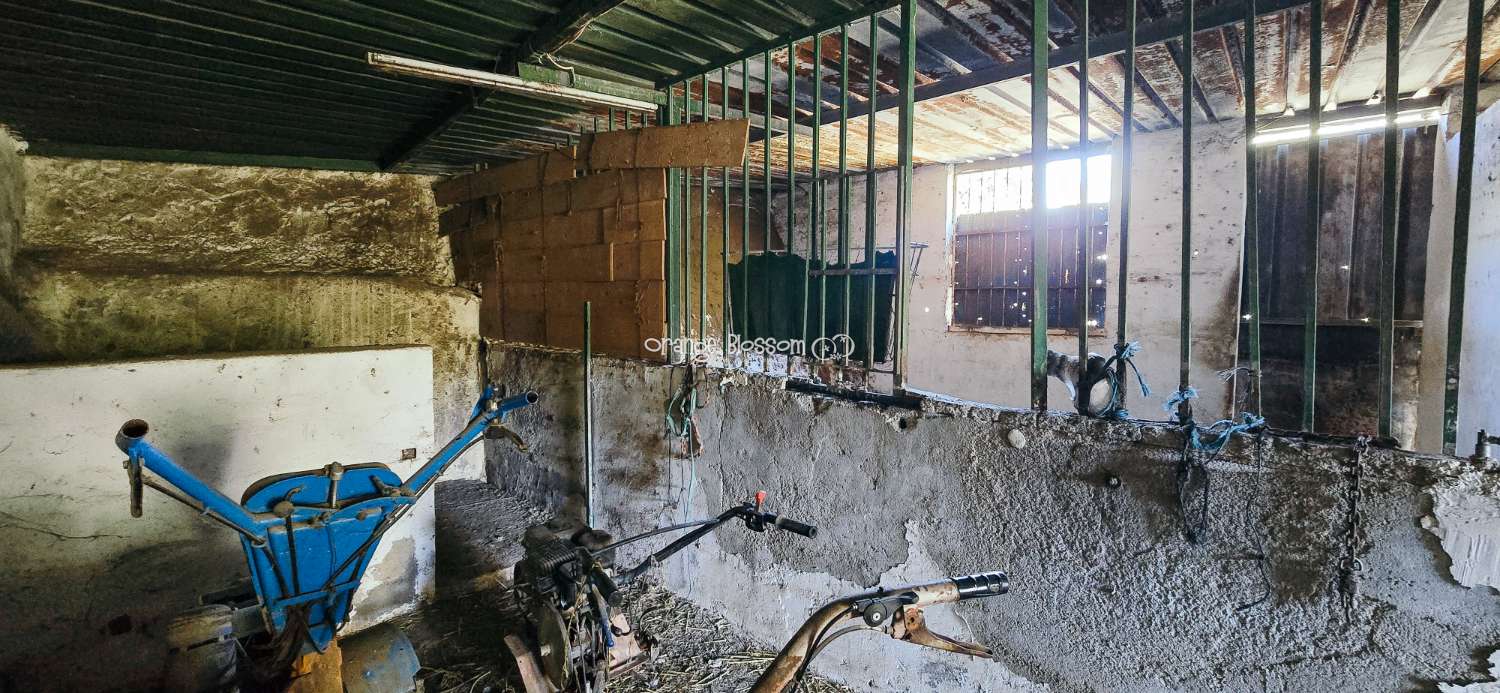 Here we are delighted to present a wonderful opportunity for those seeking space, privacy and the possibility of keeping horses.