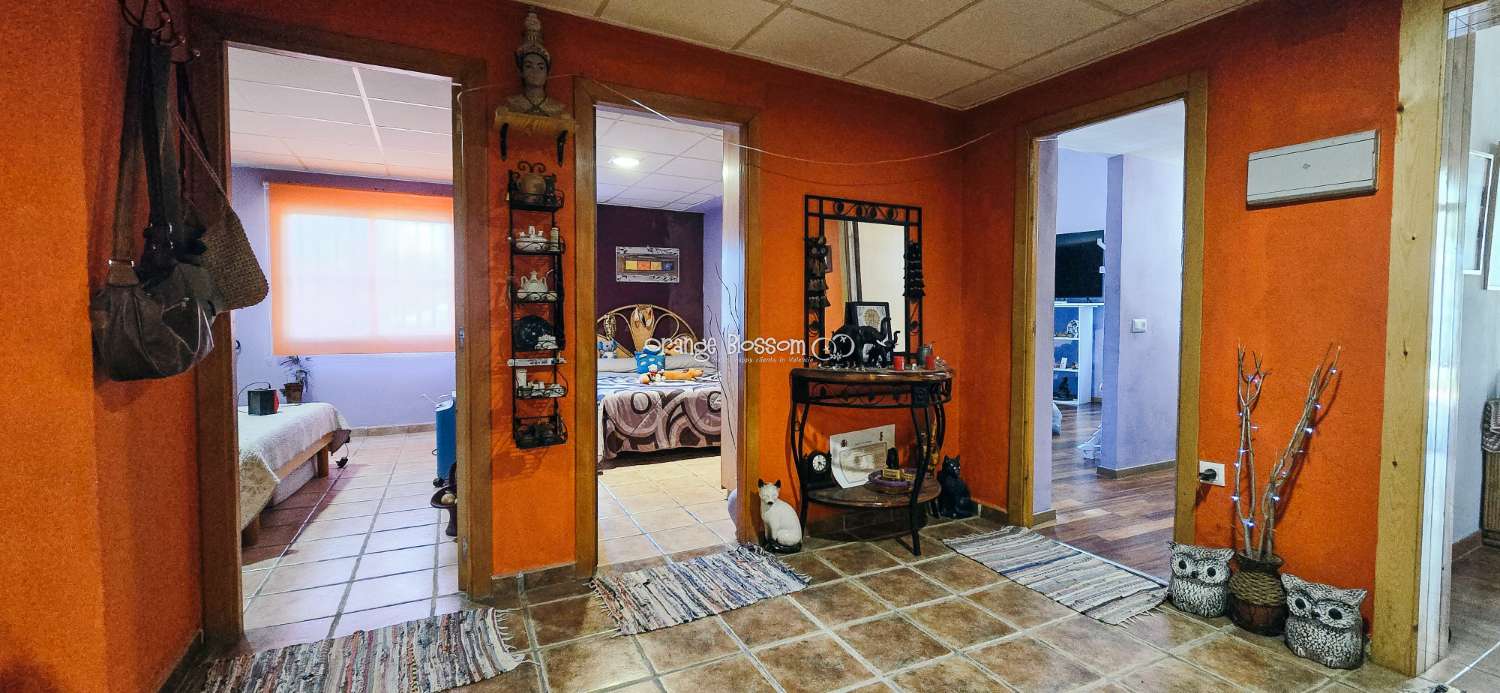 Here we are delighted to present a wonderful opportunity for those seeking space, privacy and the possibility of keeping horses.