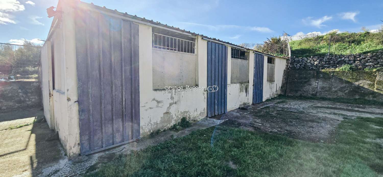 Here we are delighted to present a wonderful opportunity for those seeking space, privacy and the possibility of keeping horses.