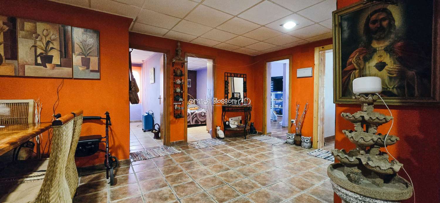 Here we are delighted to present a wonderful opportunity for those seeking space, privacy and the possibility of keeping horses.