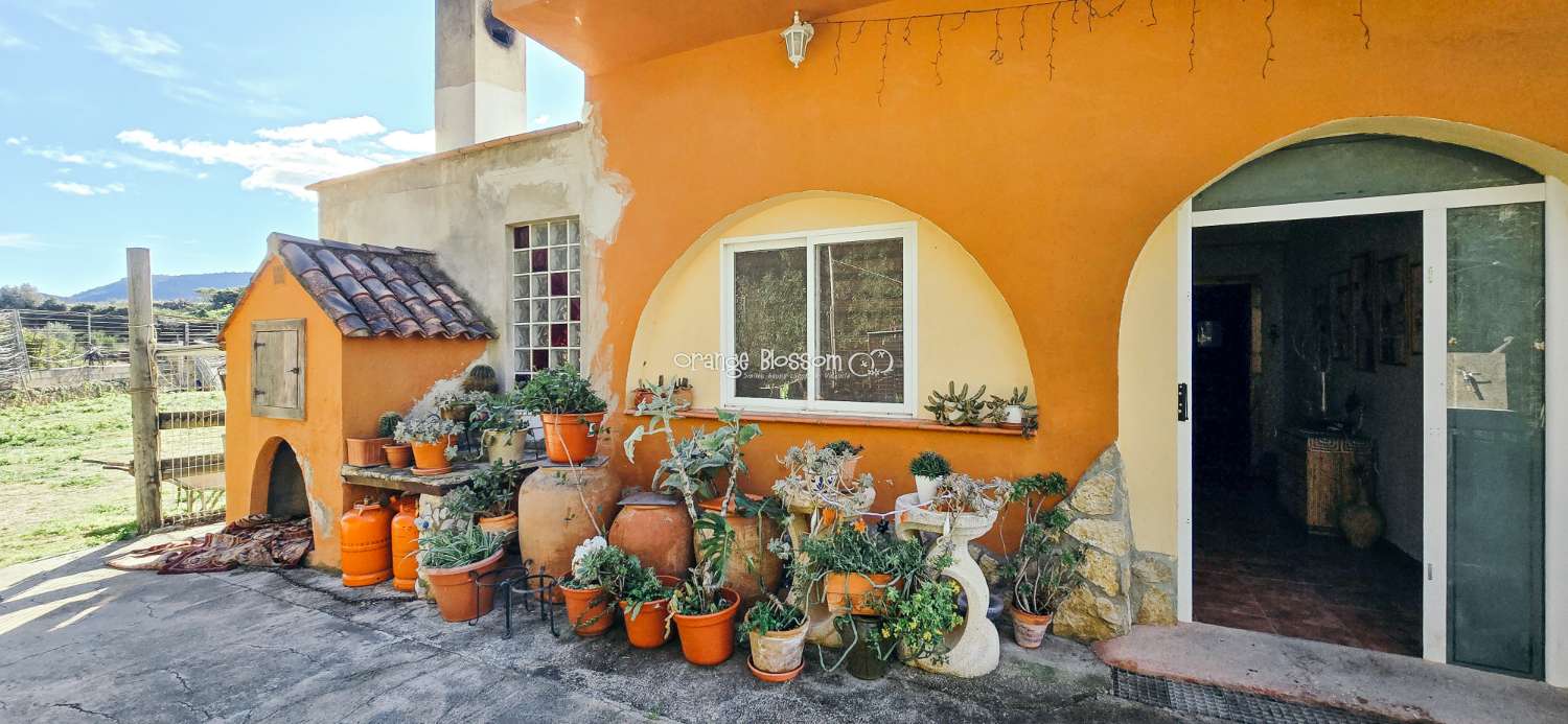 Here we are delighted to present a wonderful opportunity for those seeking space, privacy and the possibility of keeping horses.