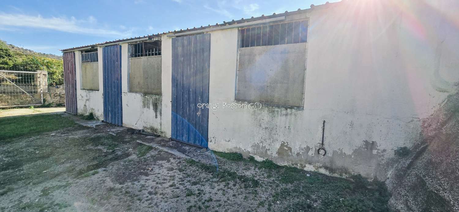 Here we are delighted to present a wonderful opportunity for those seeking space, privacy and the possibility of keeping horses.