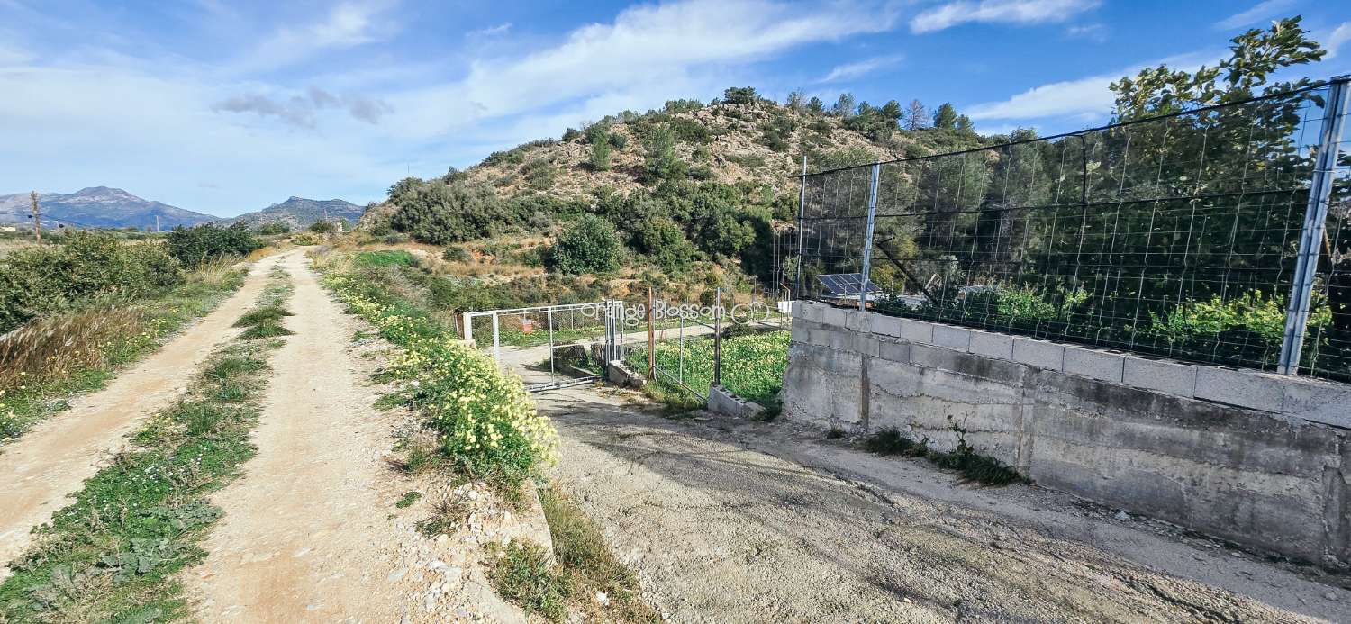 Here we are delighted to present a wonderful opportunity for those seeking space, privacy and the possibility of keeping horses.