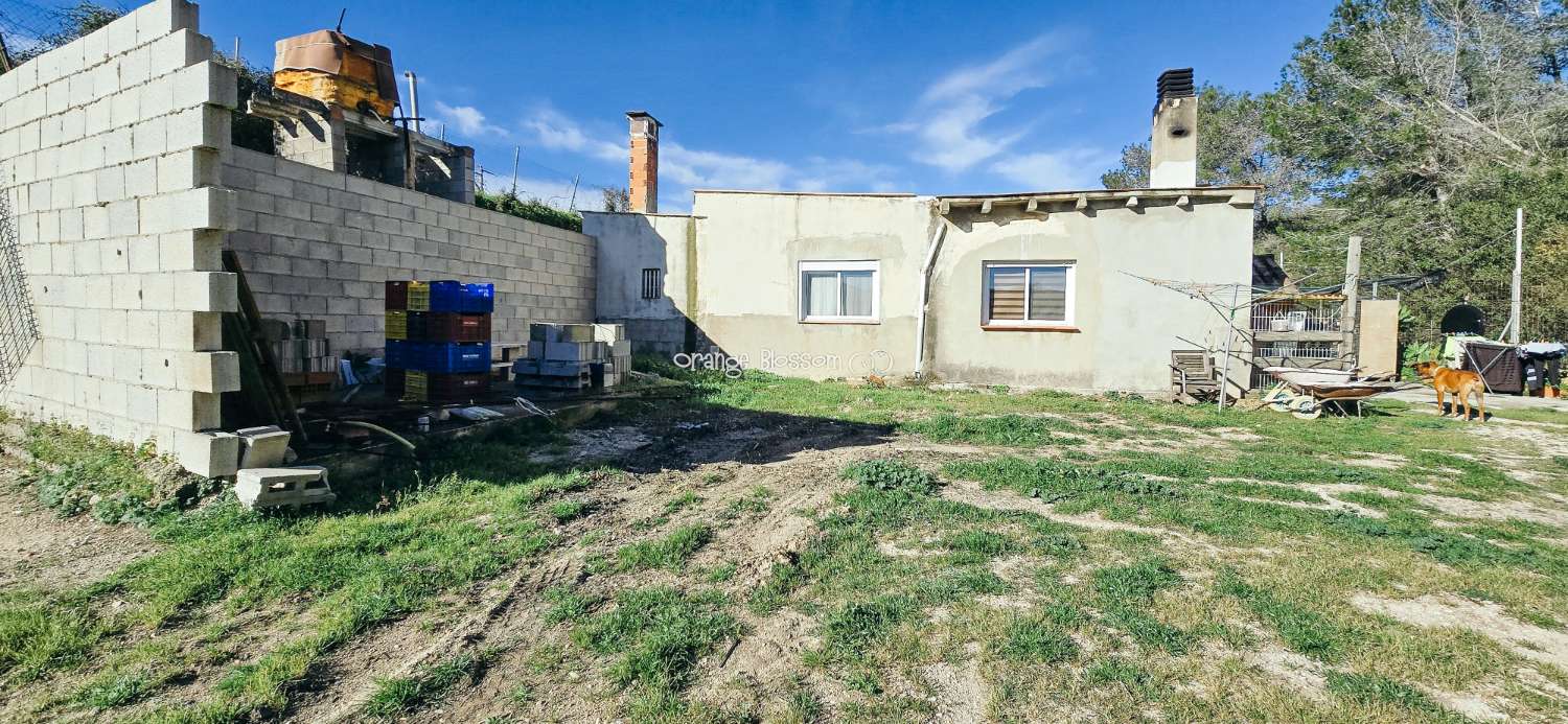 Here we are delighted to present a wonderful opportunity for those seeking space, privacy and the possibility of keeping horses.