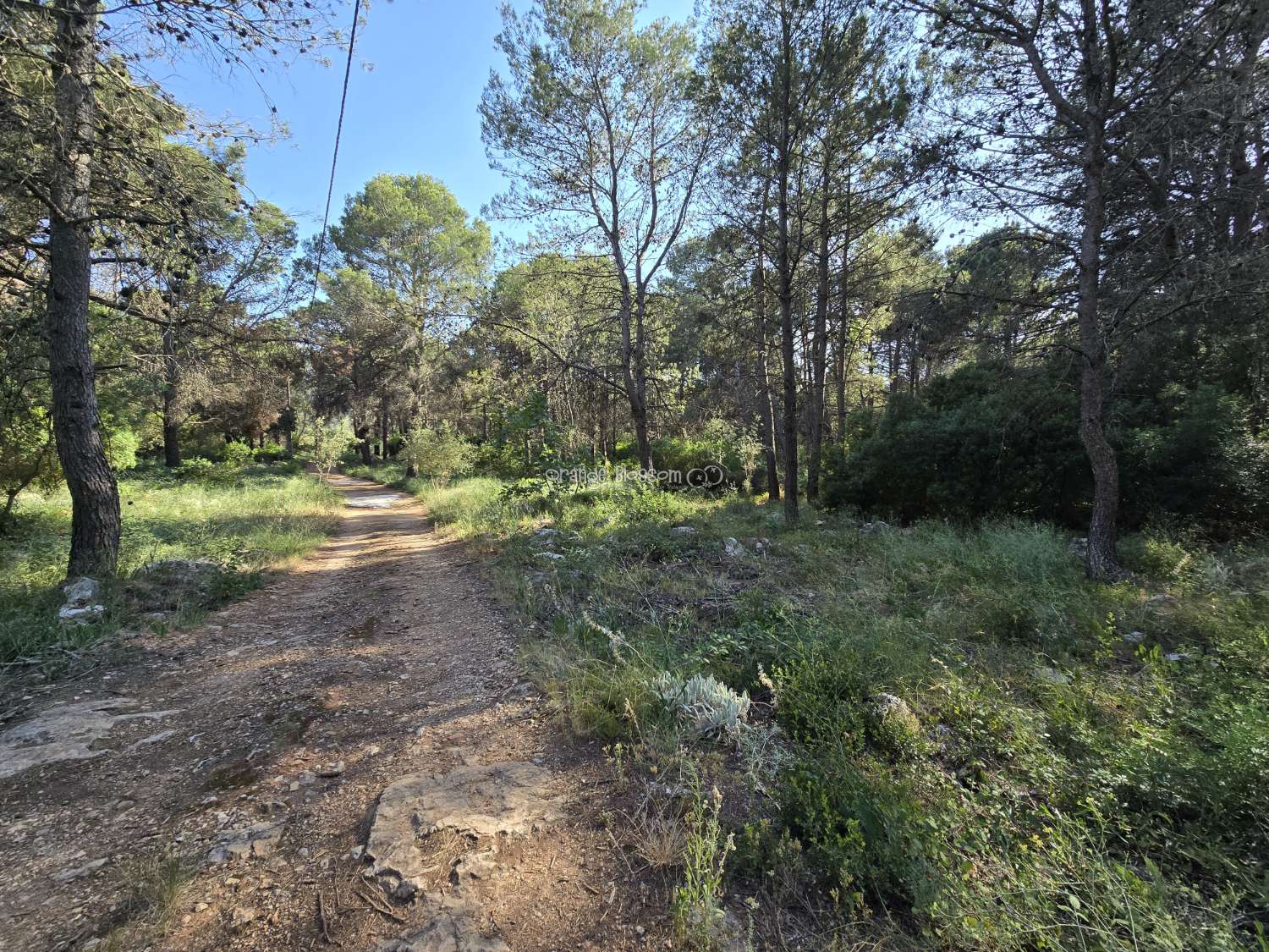 Natures natural peace and quiet waiting for you.