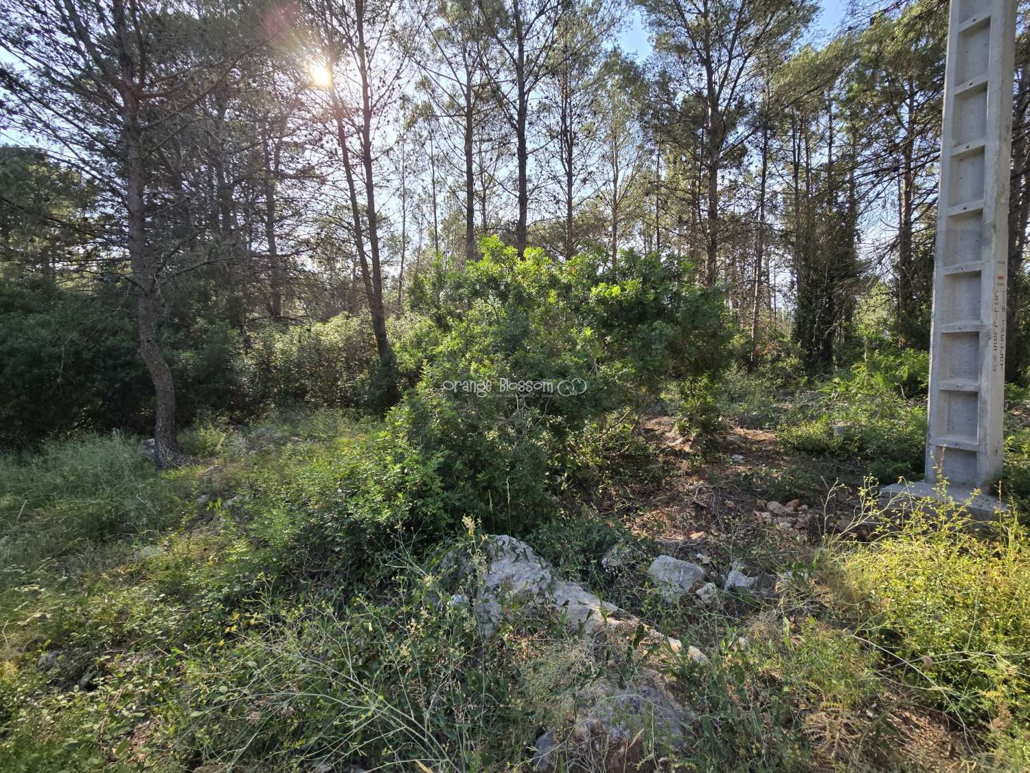 Natures natural peace and quiet waiting for you.