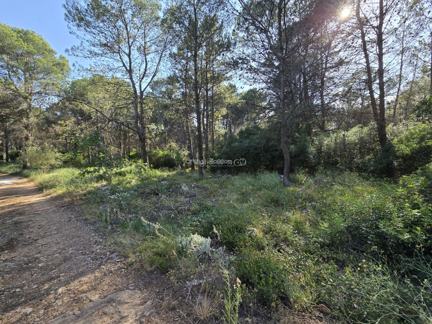 Natures natural peace and quiet waiting for you.