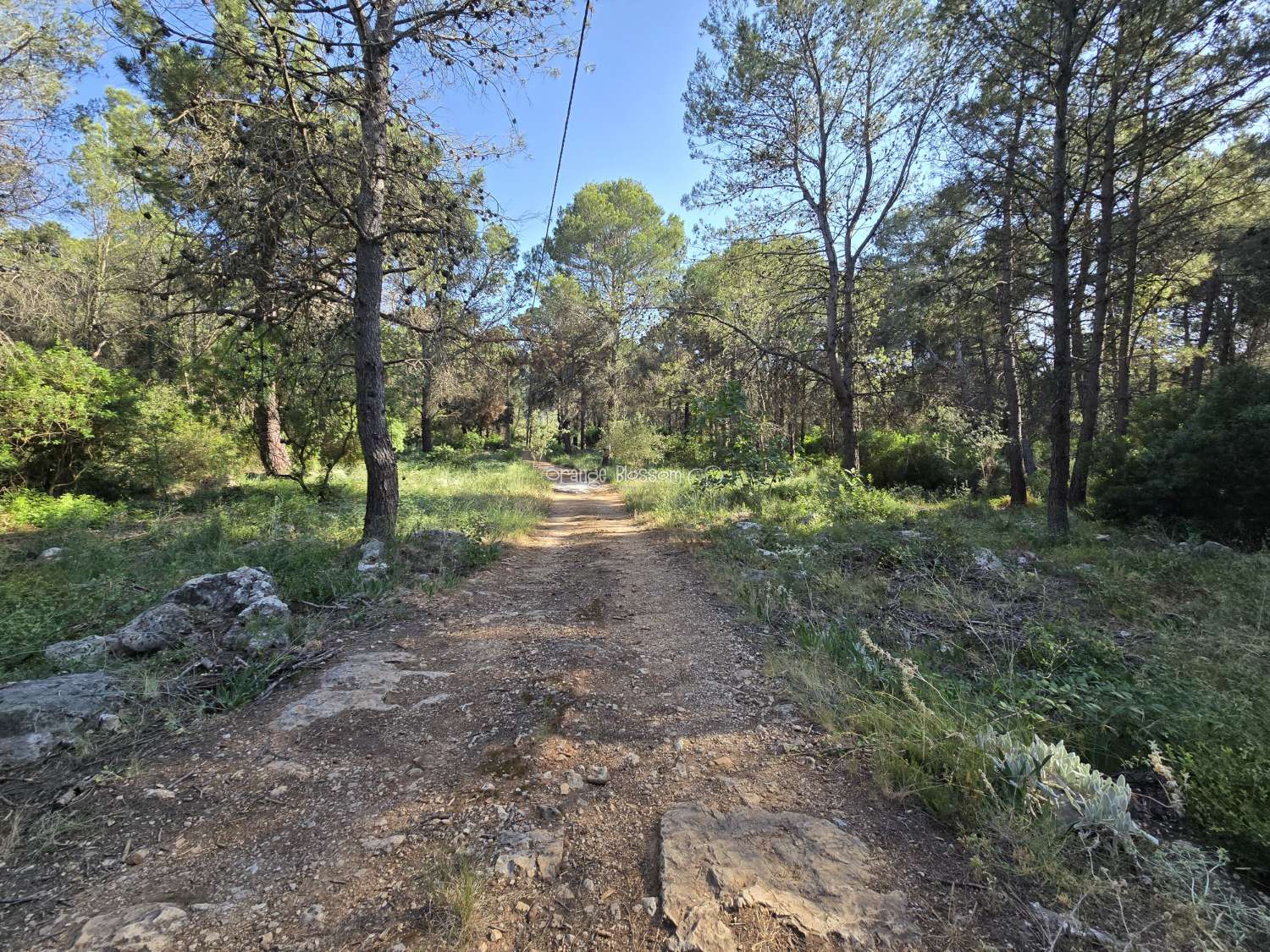 Natures natural peace and quiet waiting for you.