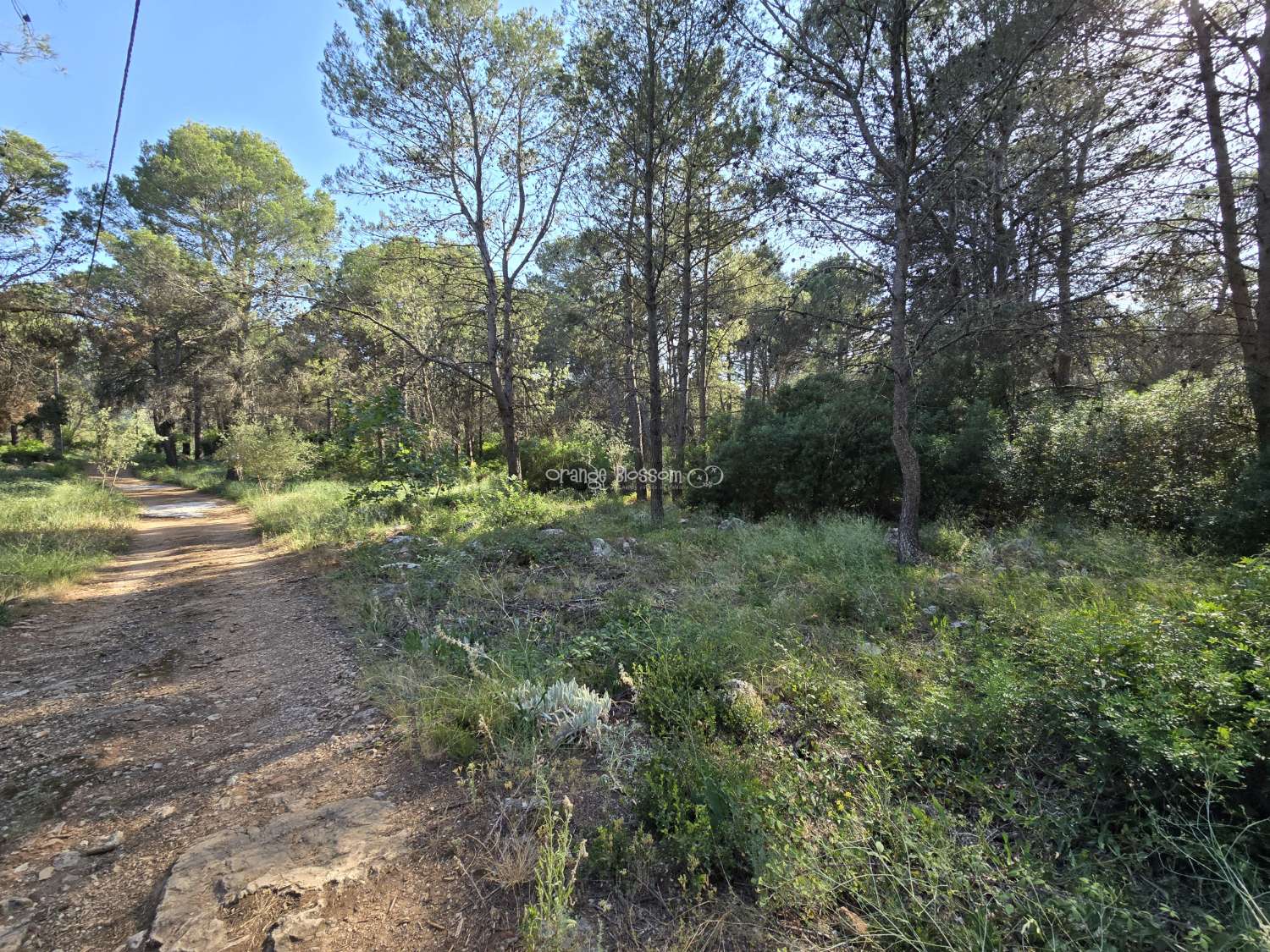 Natures natural peace and quiet waiting for you.