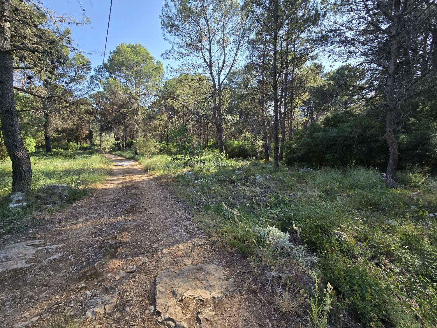 Natures natural peace and quiet waiting for you.