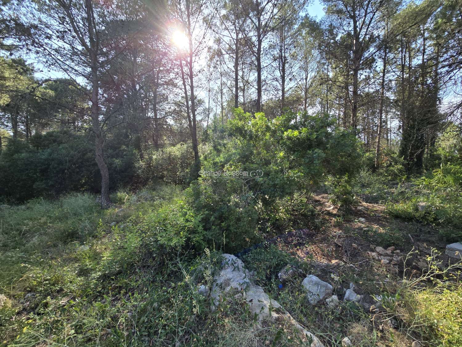 Natures natural peace and quiet waiting for you.