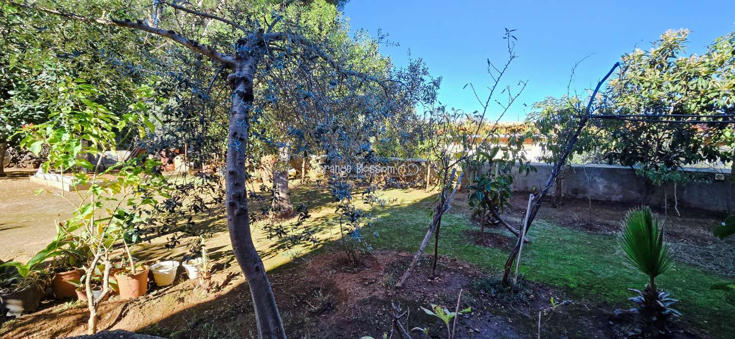 Peace and quiet with fabulous costal views.